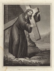 Der Mann der Schmerzen
