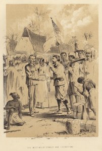 Das Treffen von Stanley und Livingstone