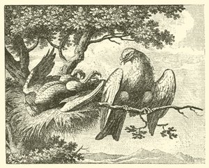 Der kranke Drache (Gravur) von English School