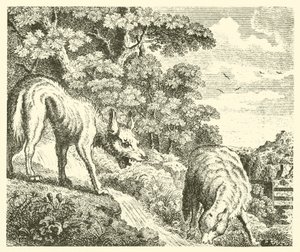 Der Wolf und das Lamm von English School