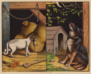 Das ist die Katze; Das ist der Hund von English School