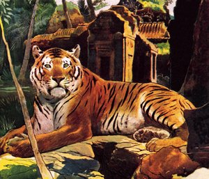 Tiger in den Ruinen