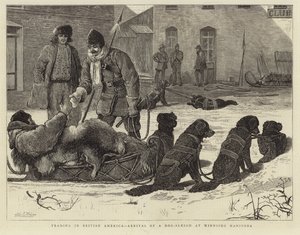 Handel in Britisch-Amerika - Ankunft eines Hundeschlittens in Winnipeg, Manitoba