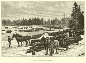 Holztransport