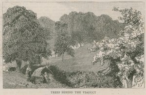 Bäume hinter dem Viadukt von English School