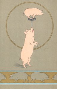 Zwei anthropomorphe Schweine im Zirkus