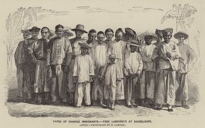 Typen chinesischer Einwanderer, freie Arbeiter in Guadeloupe