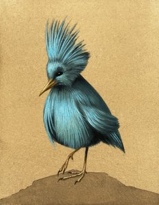 Unidentifizierter flugunfähiger Vogel von English School