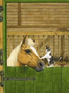 Unidentifiziertes Pferd und verspieltes Kätzchen