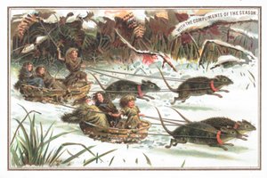 Igel beim Schlittenrennen, Weihnachtskarte