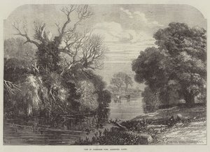 Ansicht im Tichborne Park, Alresford, Hants (Gravur)