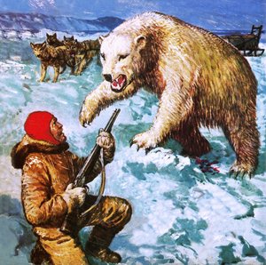 Vilhjalmar Stefansson wird von einem Eisbären angegriffen
