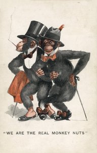 Wir sind die echten Affennüsse