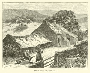 Walisische Moorland-Hütten