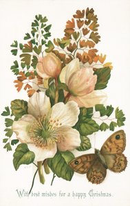 Wildrosen und Schmetterling, Weihnachtskarte
