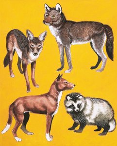Wildhund-Montage von English School