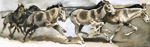 Gefährdete Tierwelt: Der Wildesel