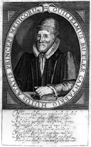 William Butler, nach einem Originalporträt in Clare Hall, Cambridge, 1620