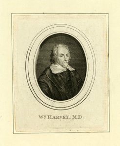 William Harvey von English School