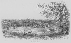 Windsor Park (Stich)