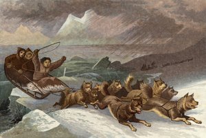 Wunderbare Flucht beim Aufbrechen des Eises