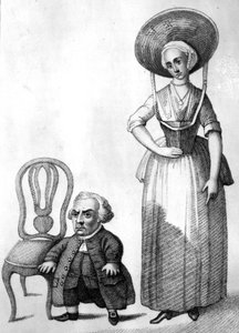 Wybrand Lolkes, Illustration in 