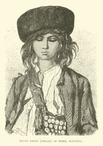 Junger Zigeuner, Cingan aus Essek, Slawonien