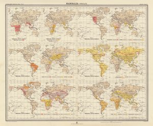 Zoogeographie: Säugetiere, Huftiere von English School