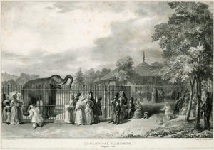 Zoologische Gärten, Regents Park von English School