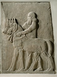 Ein Diener führt die königlichen Pferde