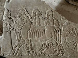Assyrische Soldaten mit Ochsenkarren führen elamitische Kriegsgefangene nach der Schlacht von Til Tuba ins Exil