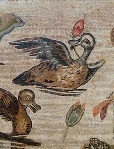 Enten schwimmen in einem Teich