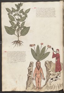 Ganzseitig: Text und Miniaturen: "Mercurela" von Erich Lessing