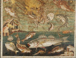 Meeresfauna, Fische, Casa del Fauno, Pompeji