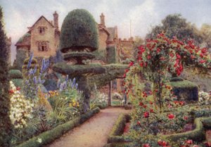 Rittersporn im Staudenbeet in Levens Hall (Farblithographie)