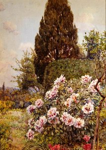 Pfingstrosen, Coddington, nahe Ledbury von Ernest Arthur Rowe