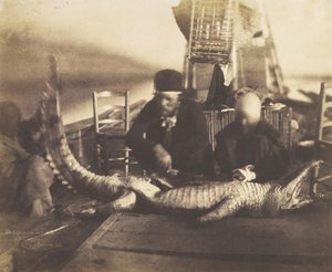 Autopsie des ersten Krokodils an Bord, Oberägypten, 1852