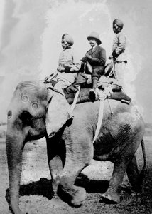 George V. (1865-1936), König von Großbritannien ab 1936, reitet auf einem Elefanten auf einer Jagdreise in Nepal, Dezember 1911, während er in Indien war, um als Kaiser von Indien eingesetzt zu werden.