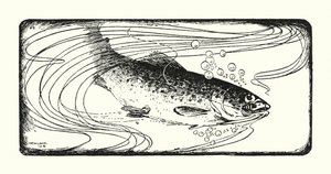 Lachs am Haken
