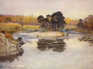 Die Tanneninsel unterhalb des Linn
