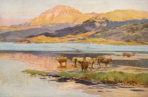 Der Kopf von Loch Quoich, Abend