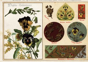 Bilder von Stiefmütterchen und Mimose aus Manuskripten und deren Anwendung von Ernest Guillot