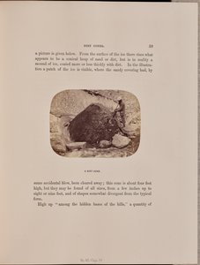 Ein Schmutzkegel von Ernest H. Edwards