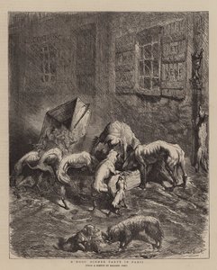 Ein Hundedinner in Paris