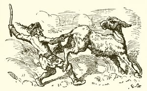 Der Esel im Löwenfell
