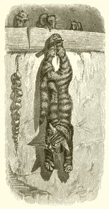 Die Katze und die Mäuse