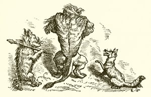 Der Löwe, der Fuchs und der Wolf