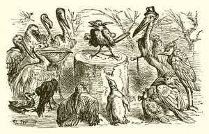 Der Pfau und die Elster