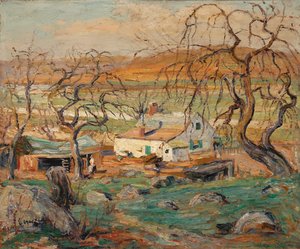 Landschaft mit knorrigen Bäumen