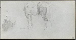 Skizzenbuch, Seite 73: Studie eines Pferdes, Profil